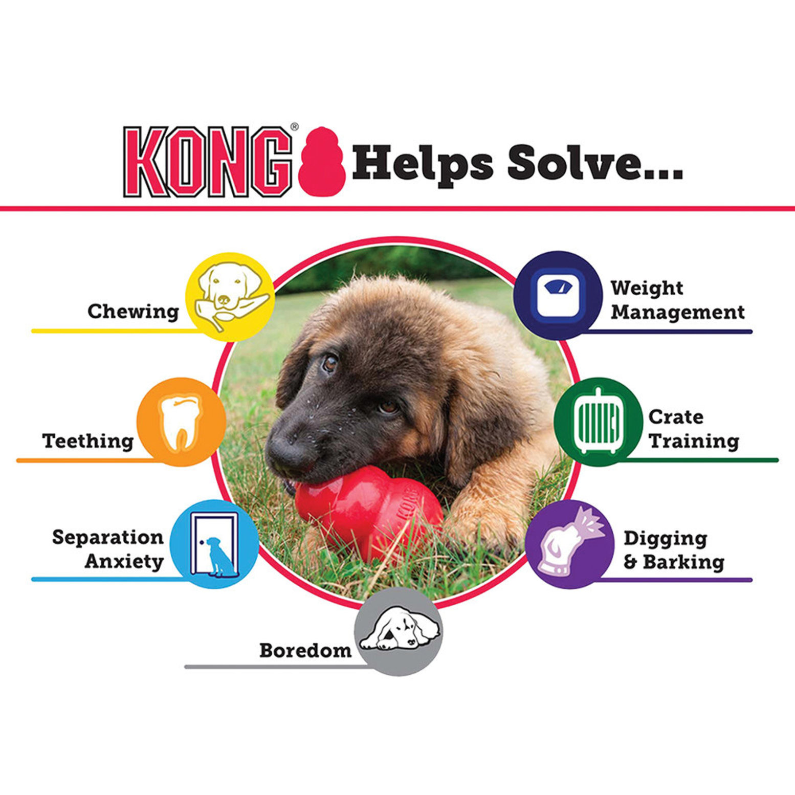 Kong original dog store toy